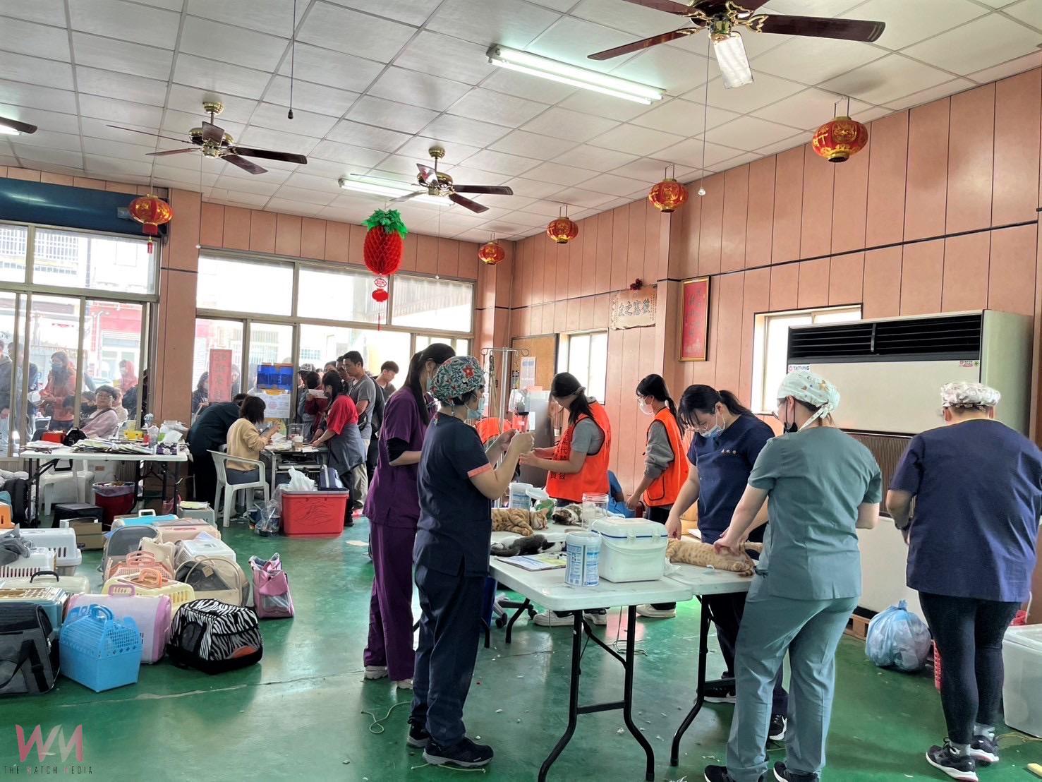 守護毛小孩健康！中市動保處：偏區犬貓絕育活動首場梧棲區開辦