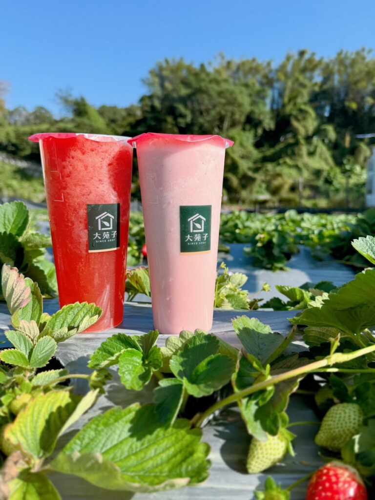 大苑子白色情人節，3/13~3/14APP推出限量草莓飲品優惠券(圖片/大苑子提供)