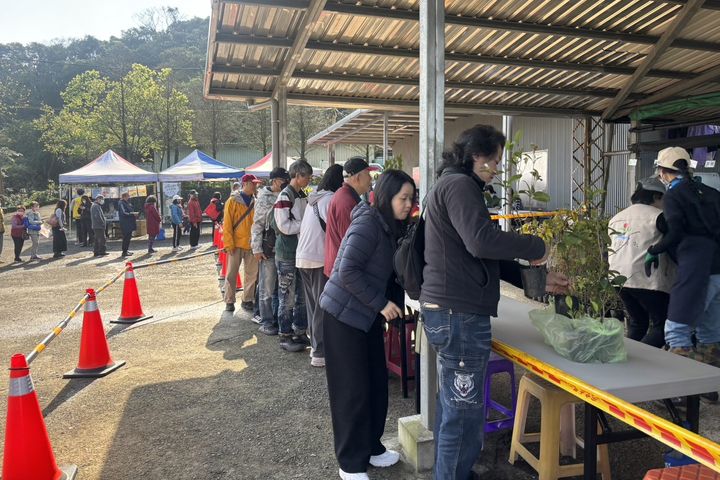 植樹月民眾兌換苗木每人限領3株。 圖:基隆市政府產業發展處/提供