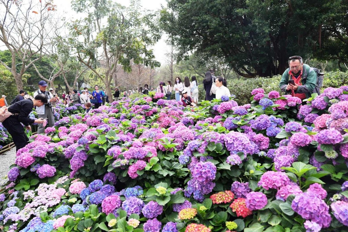 大安森林公園百花盛開，食宿賞花一次滿足。