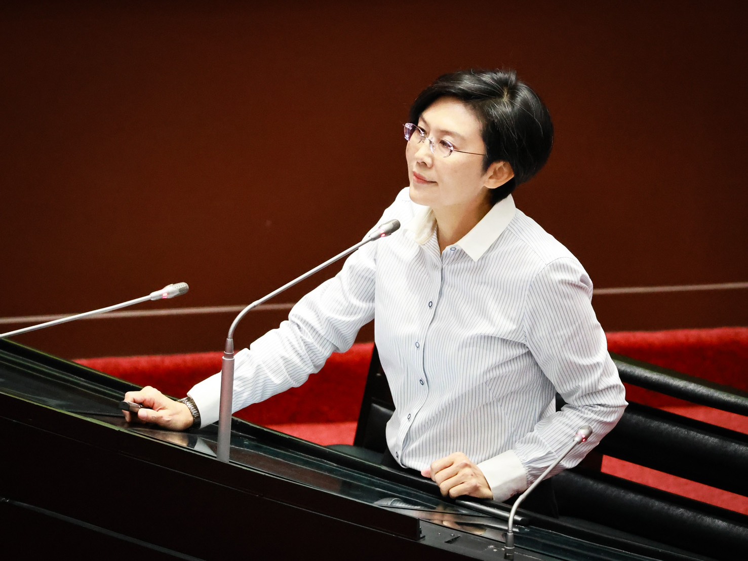 林岱樺總質詢時呼籲在野黨立委不要活在過去,應該共同規畫未來
