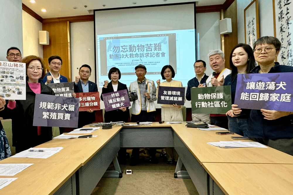 虐待動物致死最高僅判2年? 動團籲立院加速修法強化嚇阻 238 照片來源:「動團10大救命訴求」記者會提供