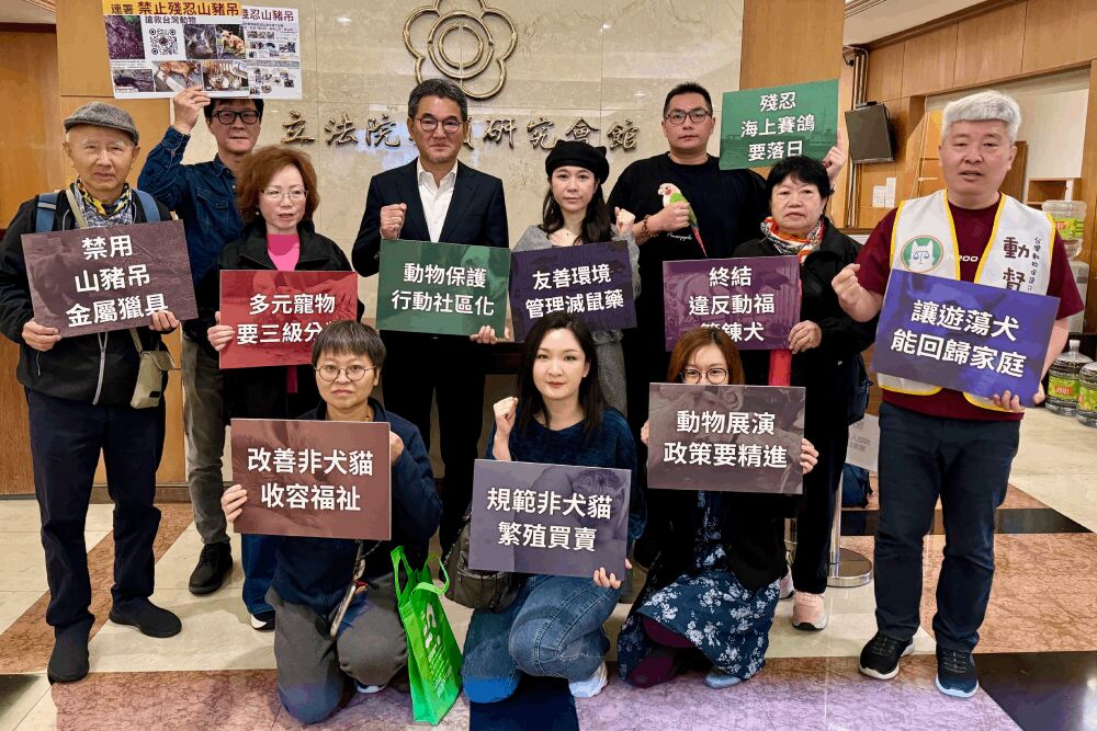虐待動物致死最高僅判2年? 動團籲立院加速修法強化嚇阻 239 照片來源:「動團10大救命訴求」記者會提供