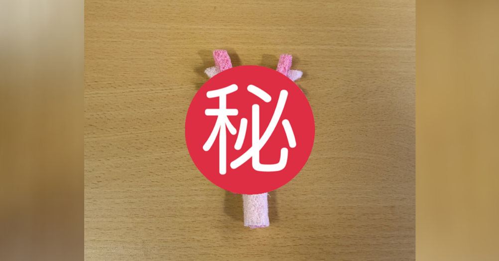 網友驚呼太狂!粉絲DIY粉紅菜瓜布 變身「討伐棒」超欠收藏 - https://www.watchmedia01.com