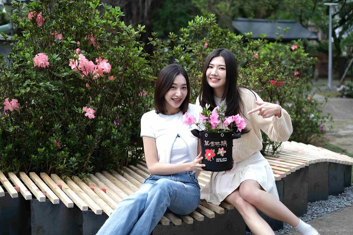 白色情人節　板橋花市消費打卡送萬金杜鵑
