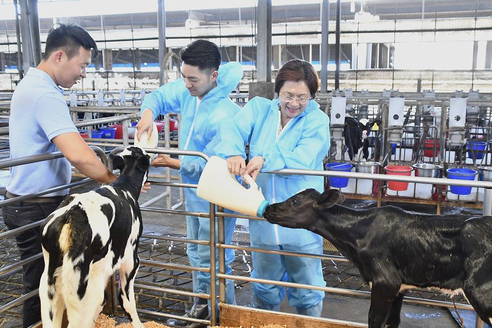 蔣萬安「生生有鮮奶」聯合彰化、雲林續辦　王惠美：彰化生乳量全國第一 205
