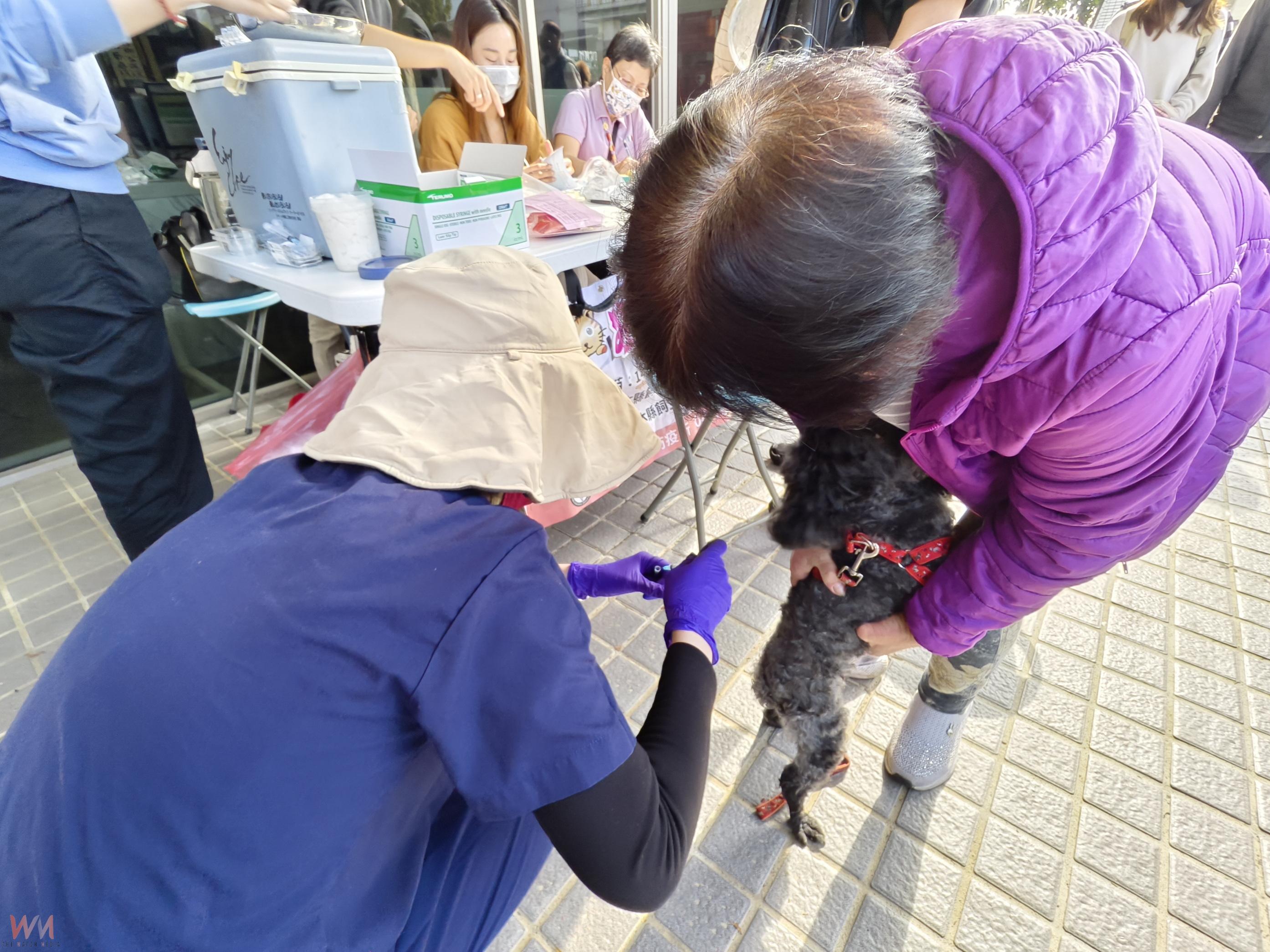 (有影片)/環保與防疫雙管齊下 大村鄉公所舉辦回收換樹苗及疫苗施打 - https://www.watchmedia01.com