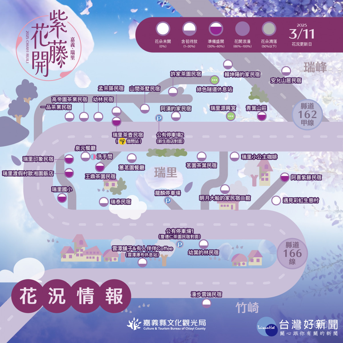 嘉義縣瑞里紫藤花季花況圖卡/嘉義縣府提供
