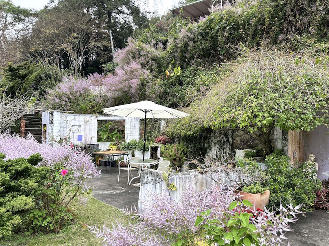 賞花資訊一次看 嘉義瑞里紫藤花祭即將登場