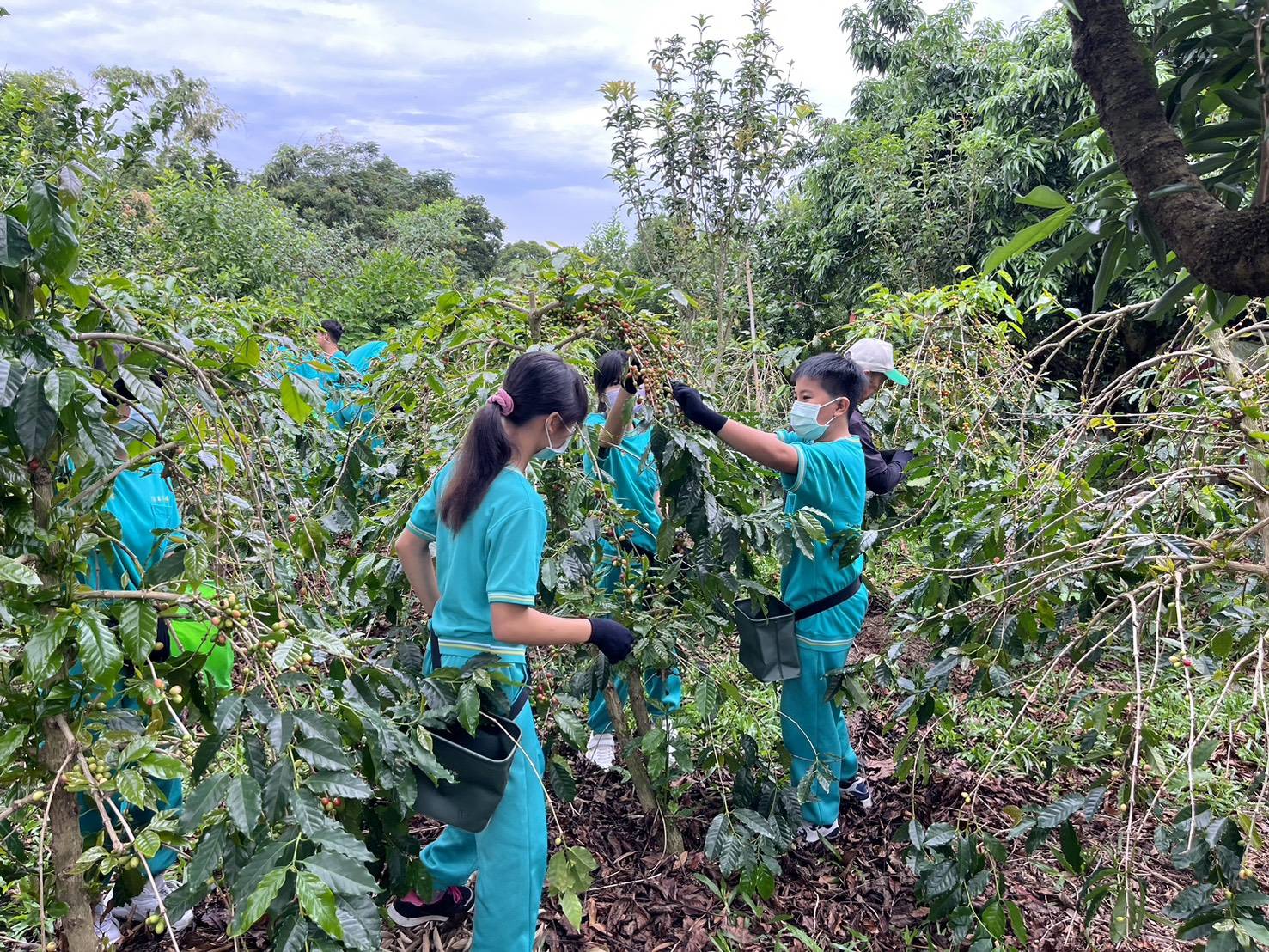 芬園鄉推動食農教育 學生走進農村體驗八卦山咖啡魅力 - https://www.watchmedia01.com