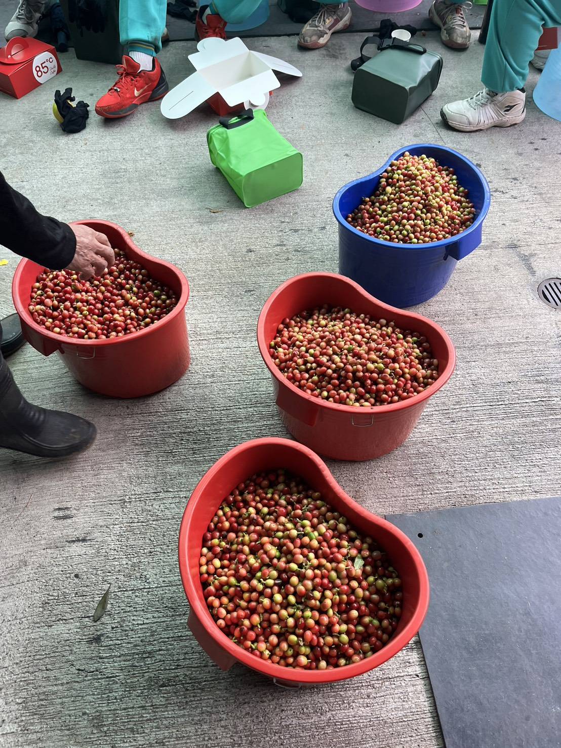 芬園鄉推動食農教育 學生走進農村體驗八卦山咖啡魅力 - https://www.watchmedia01.com