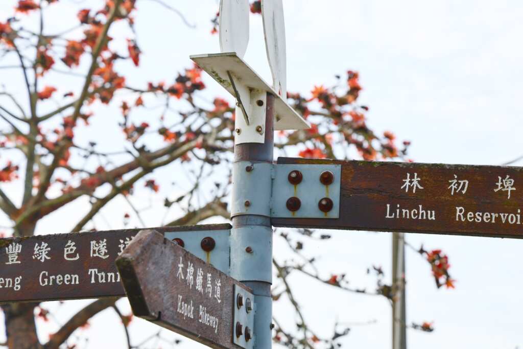 臺南白河林初埤木棉花道，全長866.5公尺，被譽為全球最美花海街道之一，每年吸引大量遊客與攝影愛好者前來朝聖。