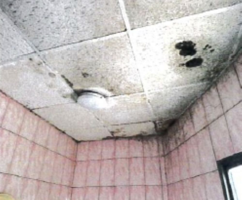 資格再放寬 新北原民建購修繕住宅補助即起申請