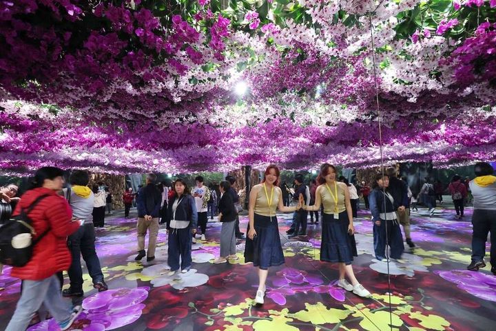 2025台南國際蘭花展03/08-03/23。 圖:台南市政府觀光旅遊局/提供