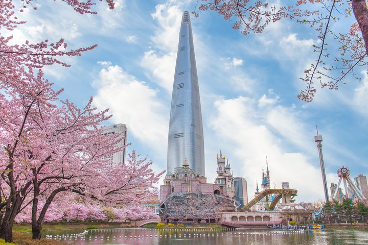 樂天世界遊樂園和石村湖櫻花,美不勝收。 圖:shutterstock/來源