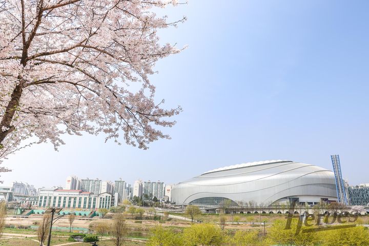 賞春櫻!遊韓國看職棒 高尺天空巨蛋「髮香區」直擊熱血賽事
