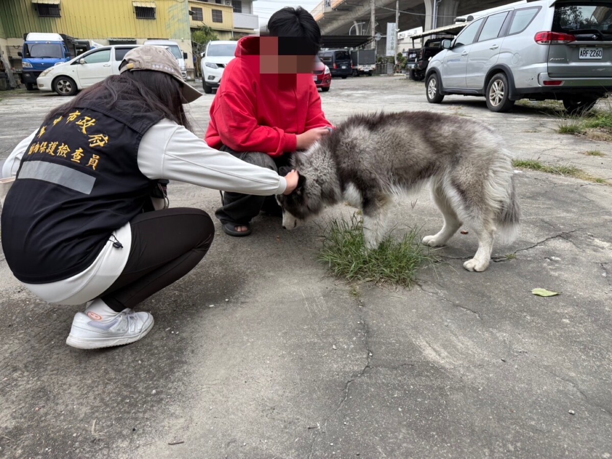東勢區虐犬棄養　中市動保處將嚴懲