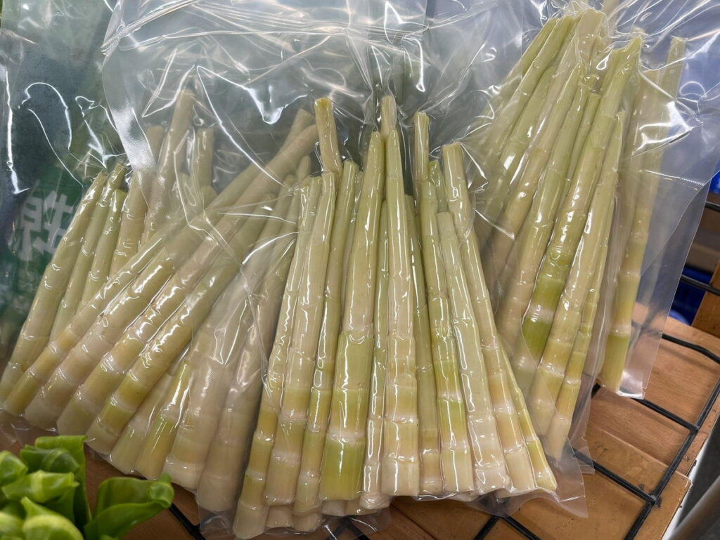 花蓮箭竹筍