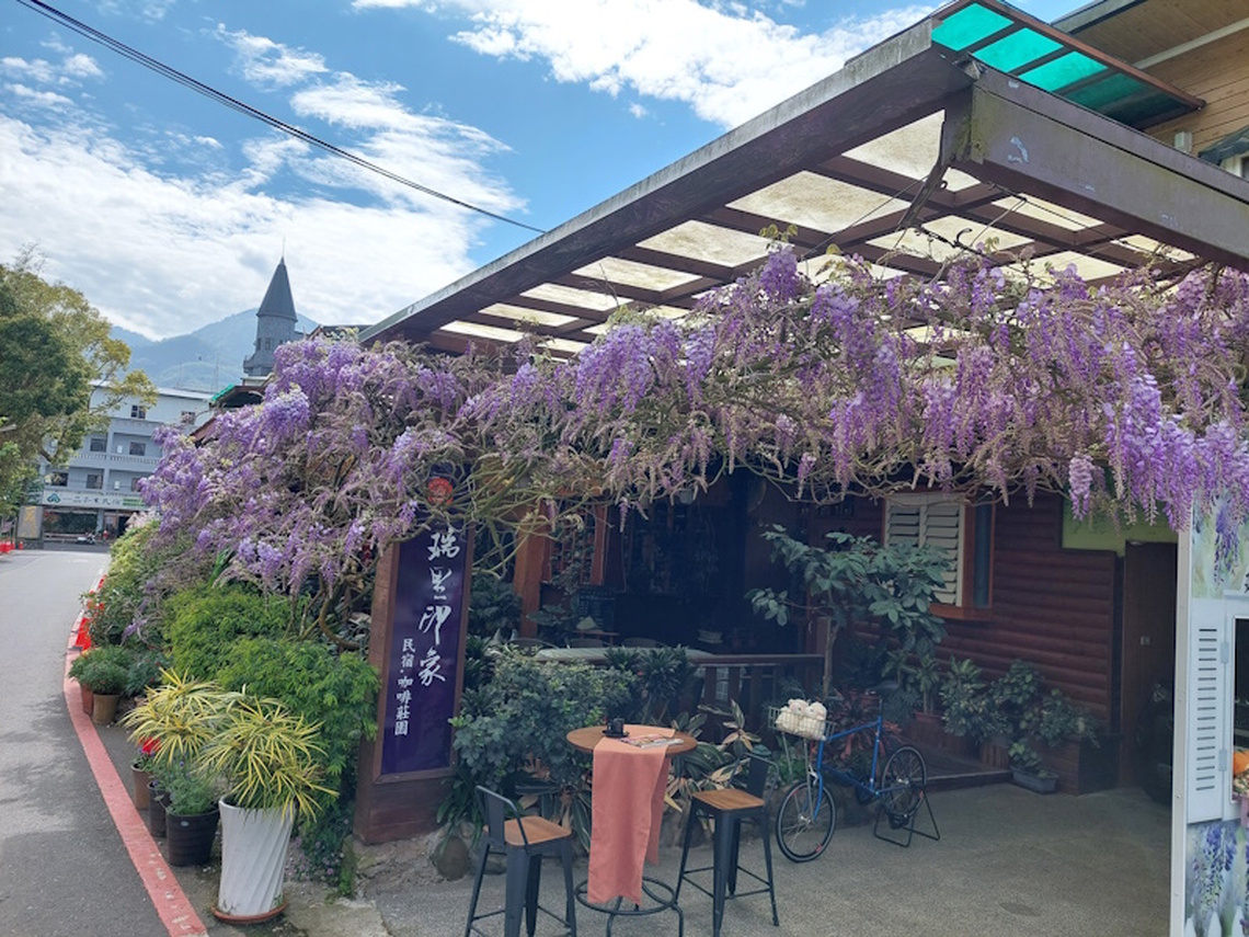 小小泡茶師、限量品茗杯深獲遊客喜愛 嘉義瑞里紫藤花季盛開