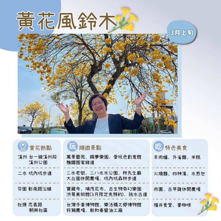 ▲黃花風鈴木的燦爛金黃，彰化縣長王惠美邀請民眾一同沉浸在春日風光，春暖花開來彰化賞花。（彰化縣政府城觀處提供）
