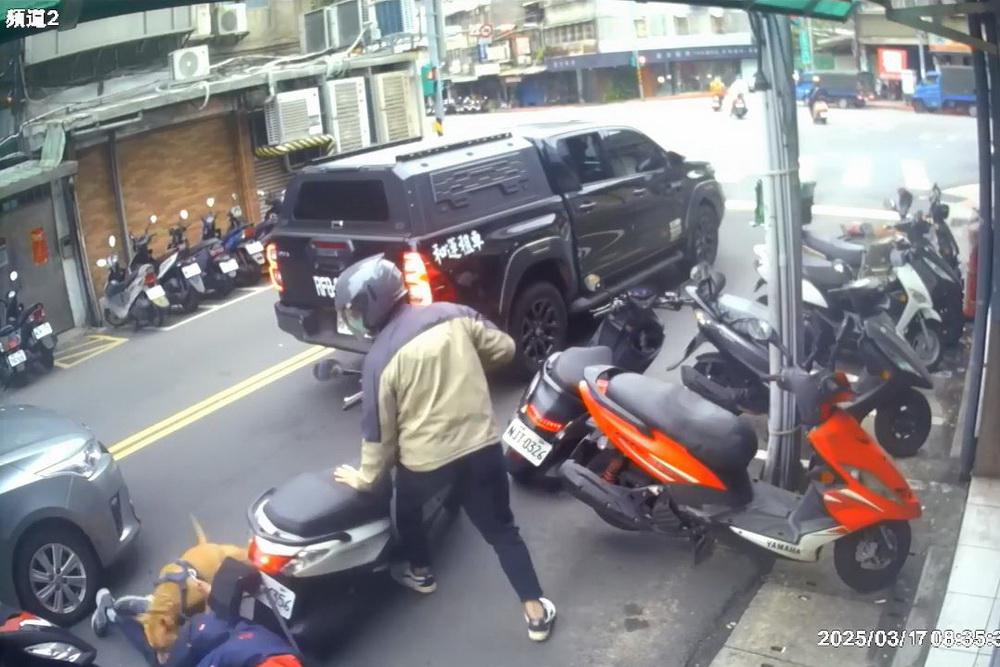咬傷騎士比特犬飼主遭債權人爆脫產 動產查封險遭犬吻 256 咬傷騎士比特犬飼主遭債權人爆脫產 動產查封險遭犬吻 255