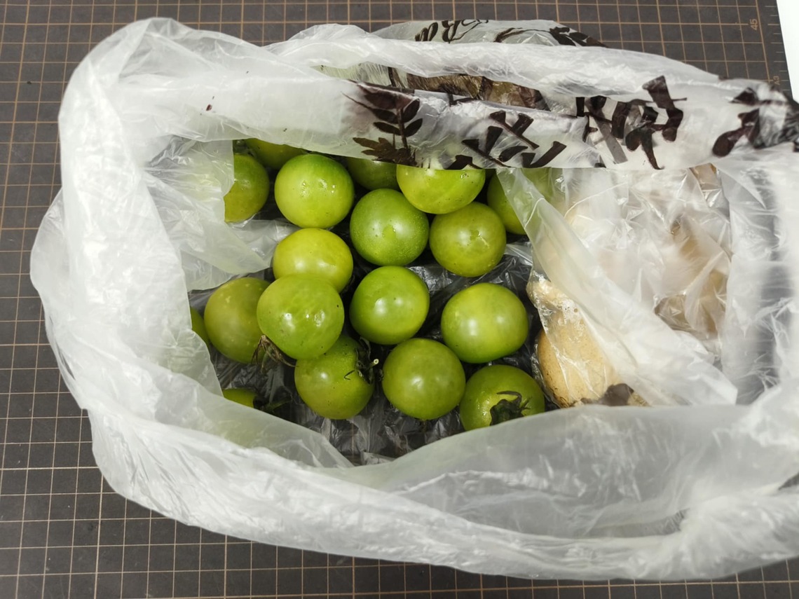 綠皮小珍珠蕃茄   種子可以郵購