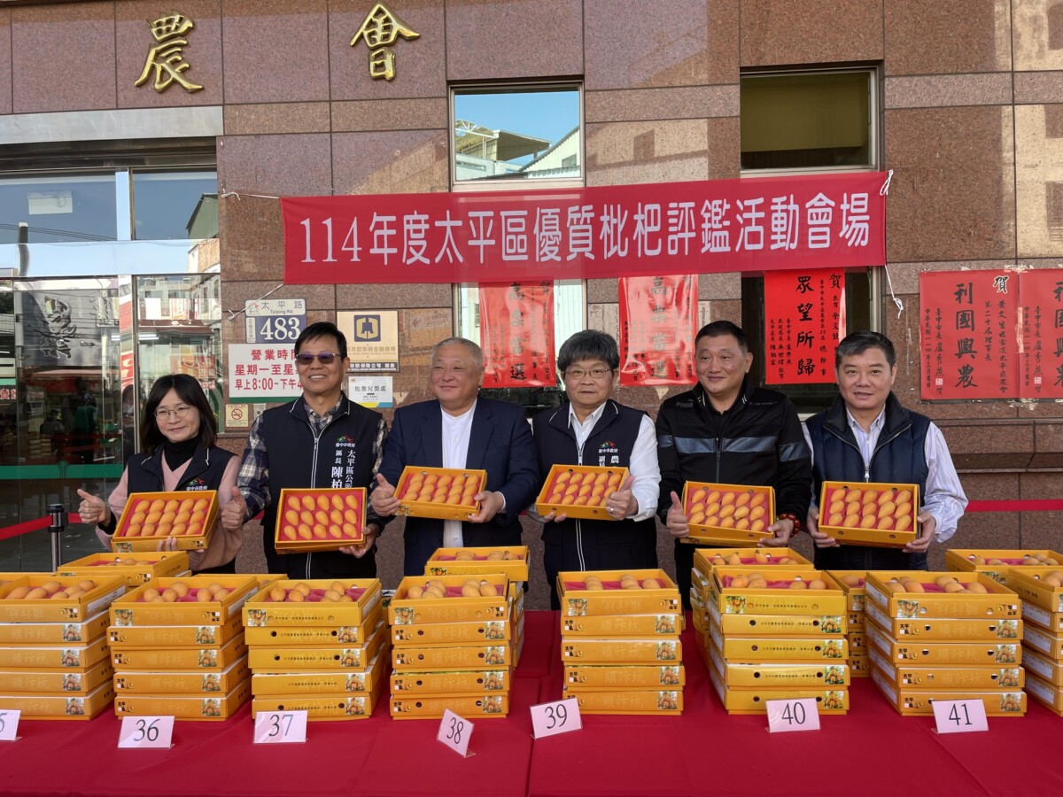▲台中市太平區優質枇杷評鑑成績揭曉,農友黃實全、沈阿香勇奪枇杷王。(圖/中市府提供)