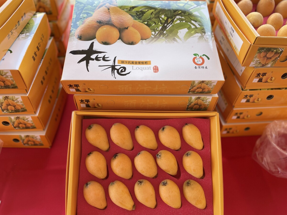 ▲台中市太平區優質枇杷評鑑成績揭曉，農友黃實全、沈阿香勇奪枇杷王。(圖/中市府提供)