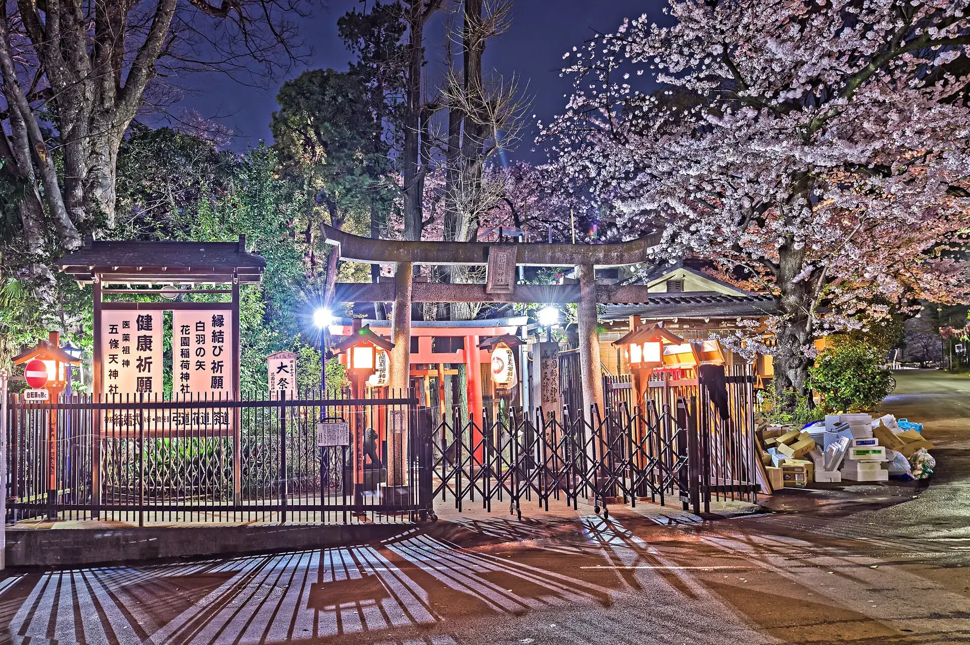 2025櫻花季開 賞櫻推薦上野公園的花園稲荷神社夜晚