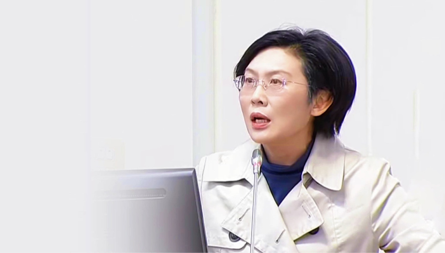 林岱樺上午在立法院經濟委員會質詢時,針對國營事業目前面臨虧損壓力提出解方建言。(圖/林岱樺國會辦公室)