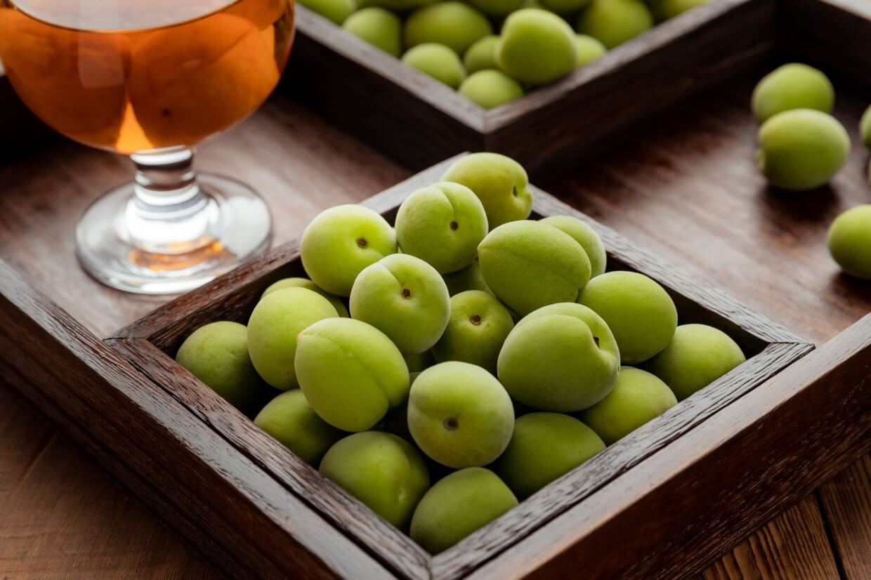 阿岳哥的老梅園＿甲仙無毒青梅(圖/奧丁丁市集)