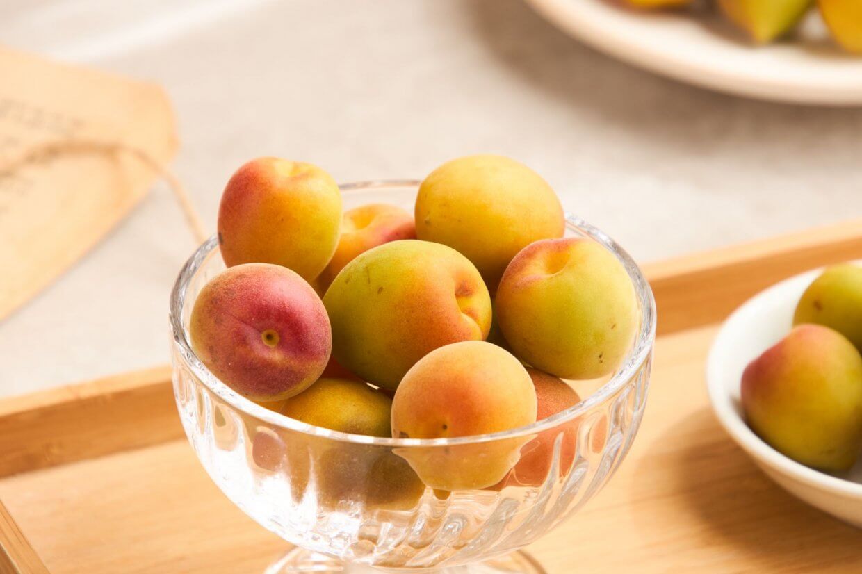 胡椒董的高山望梅園_那瑪夏胭脂梅(圖/奧丁丁市集)