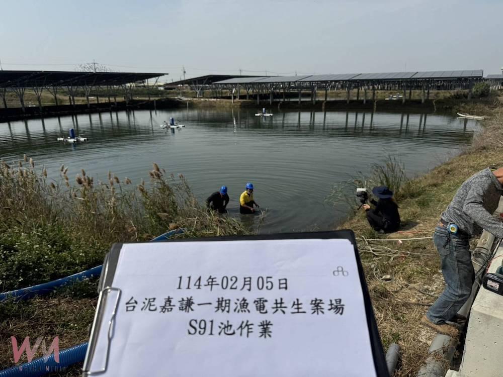 台泥綠能撤對養殖戶求償並進場養殖 冀望能源轉型共生共榮 - https://www.watchmedia01.com