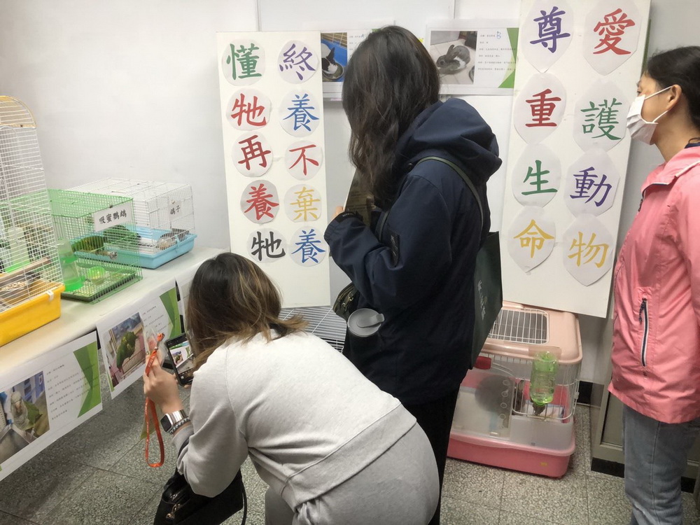 桃園動物保護處開放寵物認養 歡迎民眾3/29至現場辦理認養