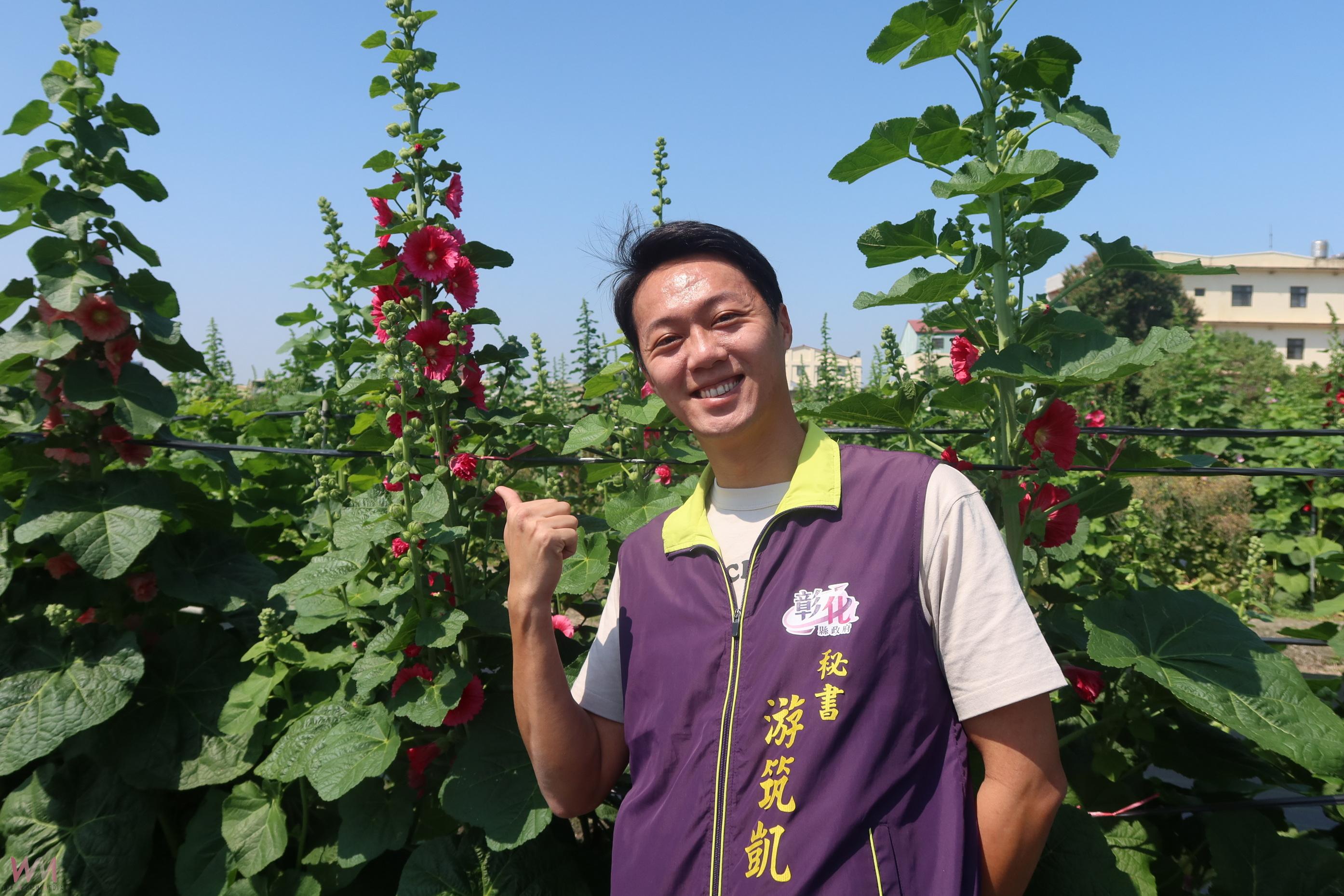 （有影片）／2025員林蜀葵花季登場　春天邀您一起漫遊花田 - https://www.watchmedia01.com