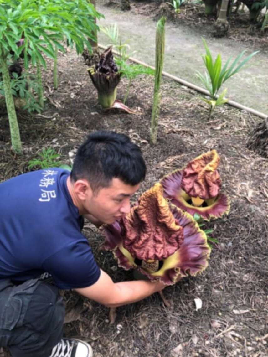 2025國際森林日,林業及自然保育署頒發優秀國家森林護管員及傑出調查監測志工,計有三位佼佼者代表屏東分署受獎!