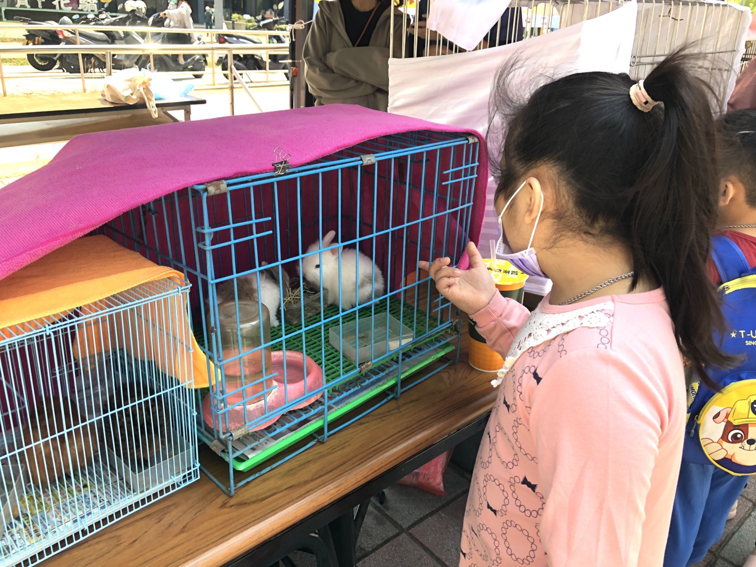 寵物兔、寵物鼠也能領養喔 高市動保處與家樂福合作第100場認養會 毛孩回娘家