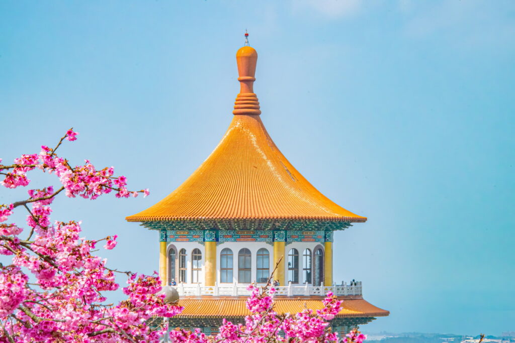 根據淡水當地花況推測,3月底至4月初可望迎來吉野櫻滿開。(圖-將捷金鬱金香酒店提供)