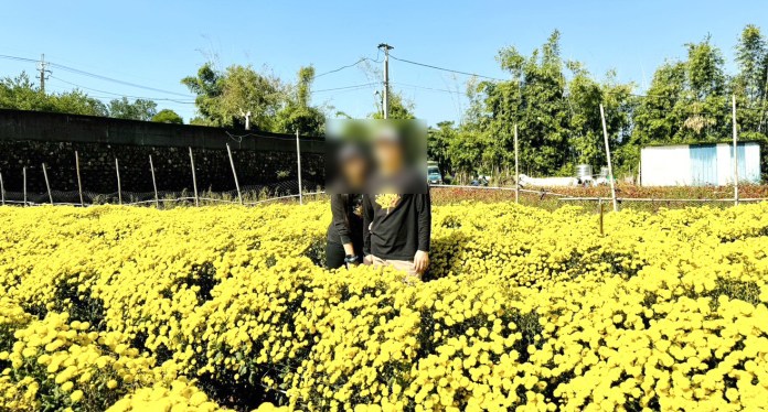 女副教授追求真愛遭家人反對 資深社工鼓勵她為自己的人生做主 58 27622
