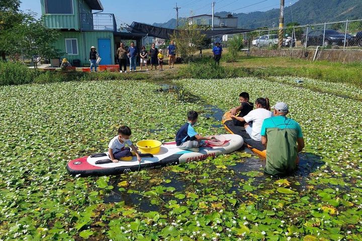 在水草池體驗漿板觀察濕地。 圖:美濃湖水雉復育工作站/提供