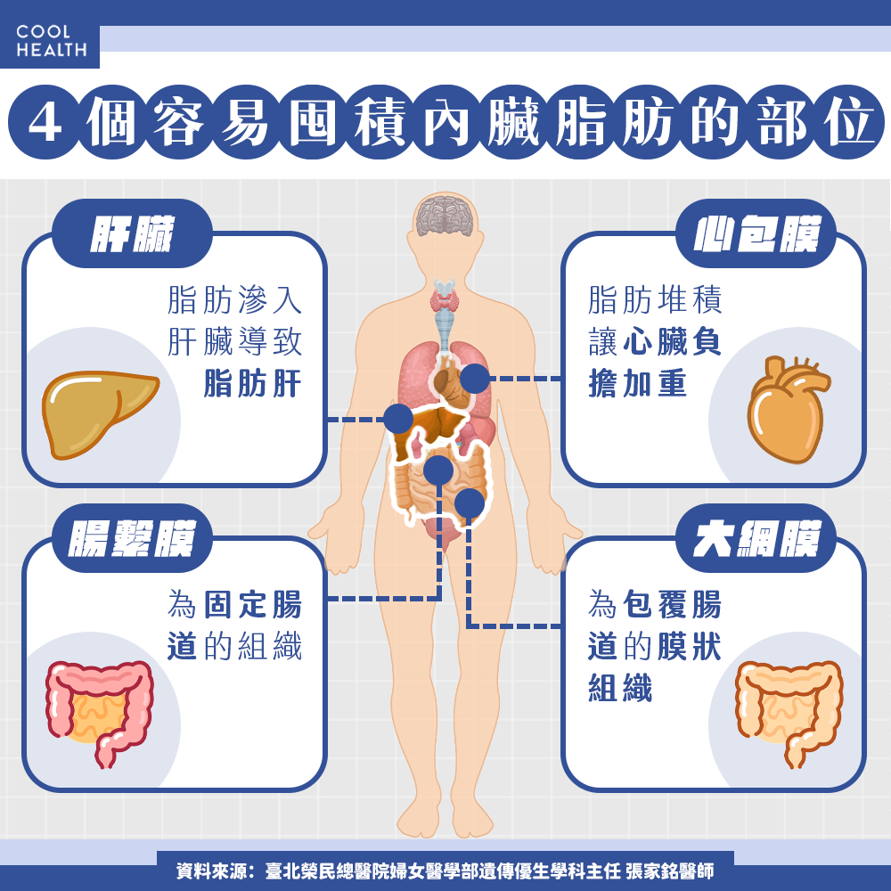「瘦胖子」比真胖子更不健康？  醫勸上班族：多做5件事，徹底燃燒內臟脂肪