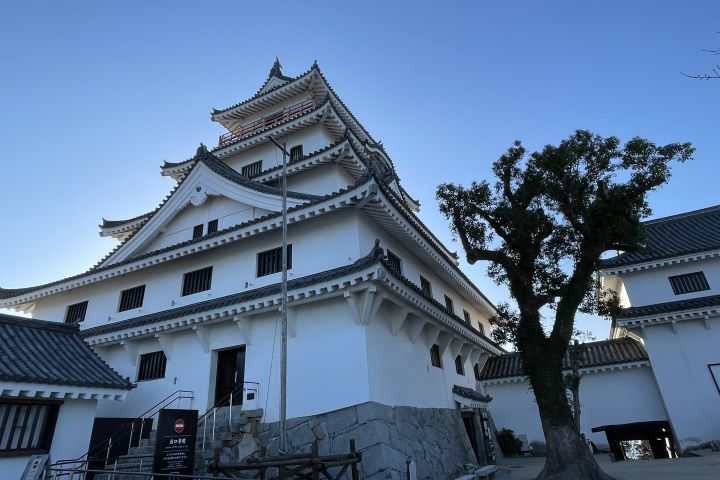 【九州佐賀】日本最美松樹林海岸~推薦度假飯店