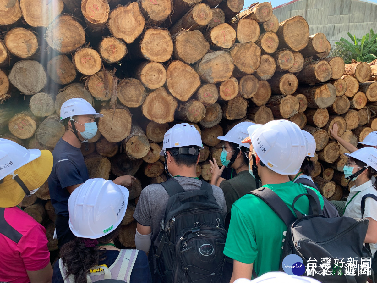 實際至製材廠了解從木成材的故事(林業保育署新竹分署提供)