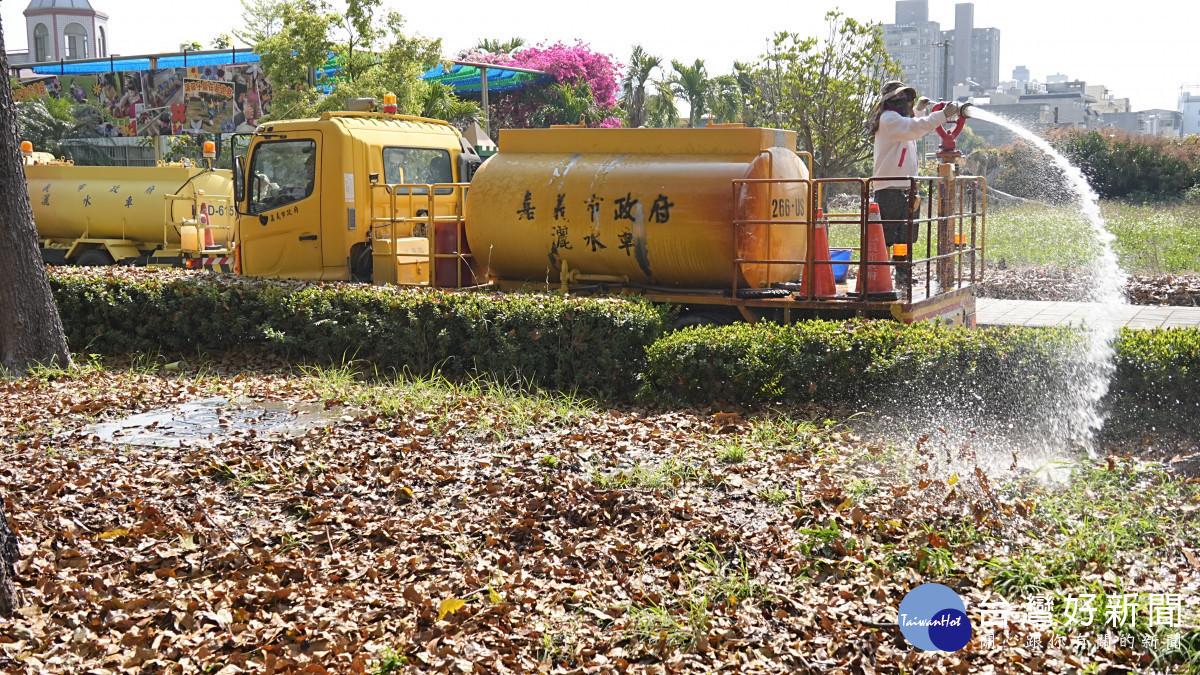 嘉義市府建設處與環保局合作，將掃集的落葉堆放於道路兩旁植栽區，讓「落葉變黃金」／嘉義市府提供
