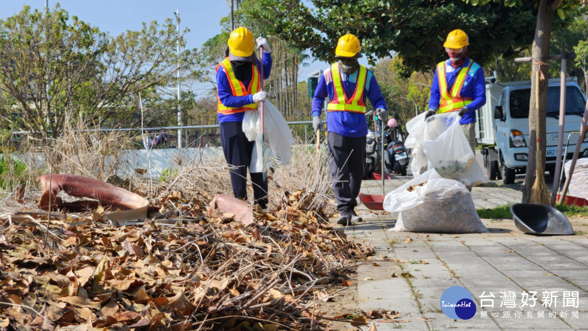 嘉義市府建設處與環保局合作,將掃集的落葉堆放於道路兩旁植栽區,讓「落葉變黃金」/嘉義市府提供