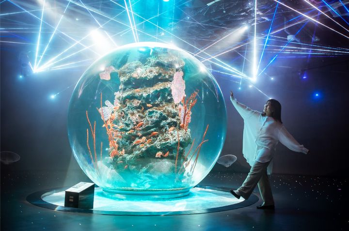 前進EXPO 2025大阪萬博!獨家享受奢華、輕鬆的尊榮行程 限量VIP早鳥優惠熱賣中