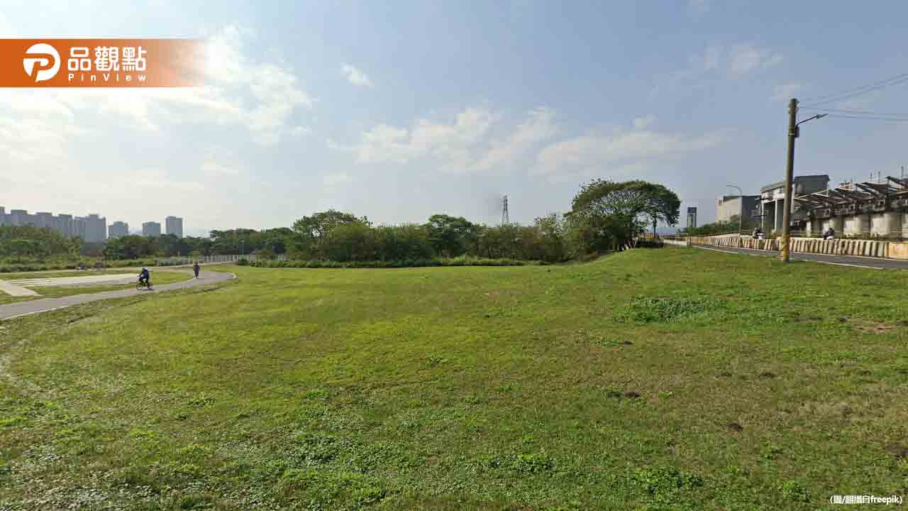 新北河濱公園藏「草王」 1斤狂飆4000元　民眾瘋狂採