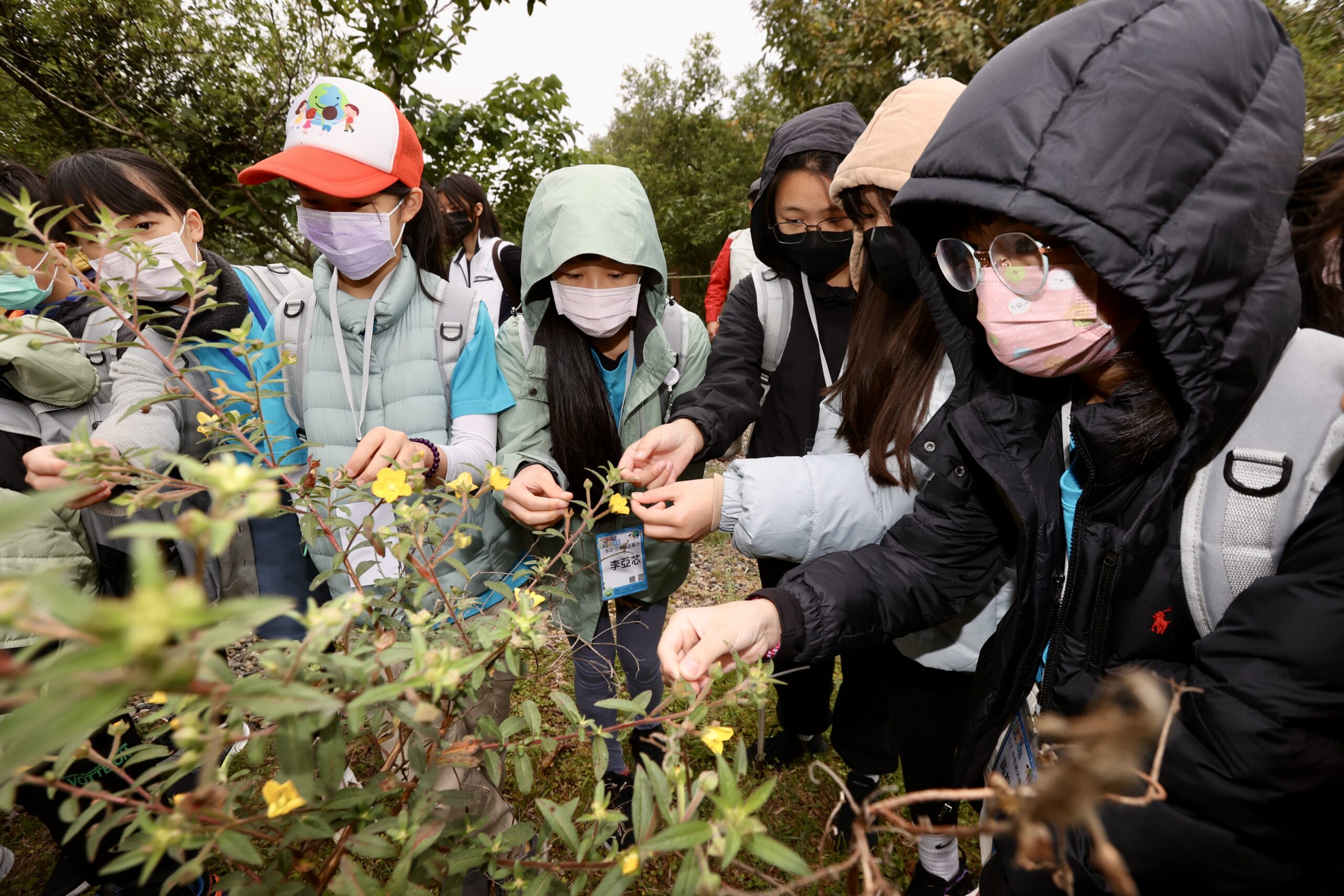 《圖說》小局長們實際近距離觀察昆蟲及探索其棲地。〈環保局提供〉