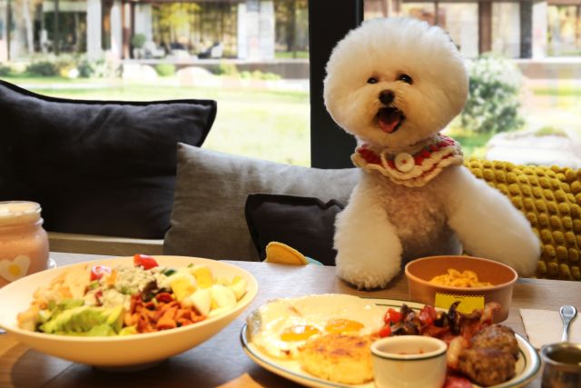 樂子the Diner於活動期間推出2款毛孩專屬健康套餐.jpg