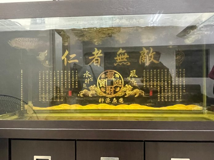 假投資詐團據點掛匾額「仁者無敵」 逾50成員被逮17人羈押 61 f5654rf scaled